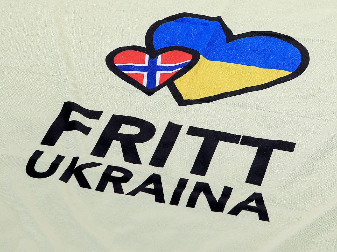 Благодійний фонд «Fitt Ukraina»